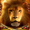 lion: wild symbol - african sunset