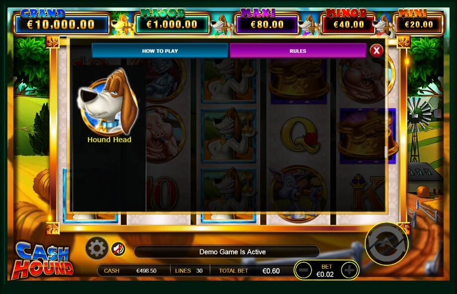 cash hound slot machine detail image 16