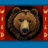 wild symbol - alaska wild