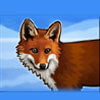 fox - alaska wild
