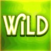 wild: wild symbol - alchymedes