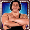 andré gigant: wild symbol - andre the giant