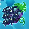 a flock of fish - aquarium