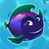 purple fish - aquarium