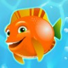 orange fish - aquarium