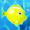 yellow fish - aquarium