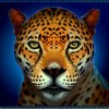 jaguar - aztec empire
