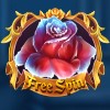 red rose: a symbol of dispersion - beauty the beast