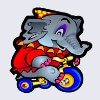 elephant on a bicycle - big top