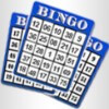 cards for playing bingo - bingo billions!
