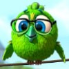 green bird in glasses - birds!