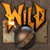 wild symbol - boom brothers