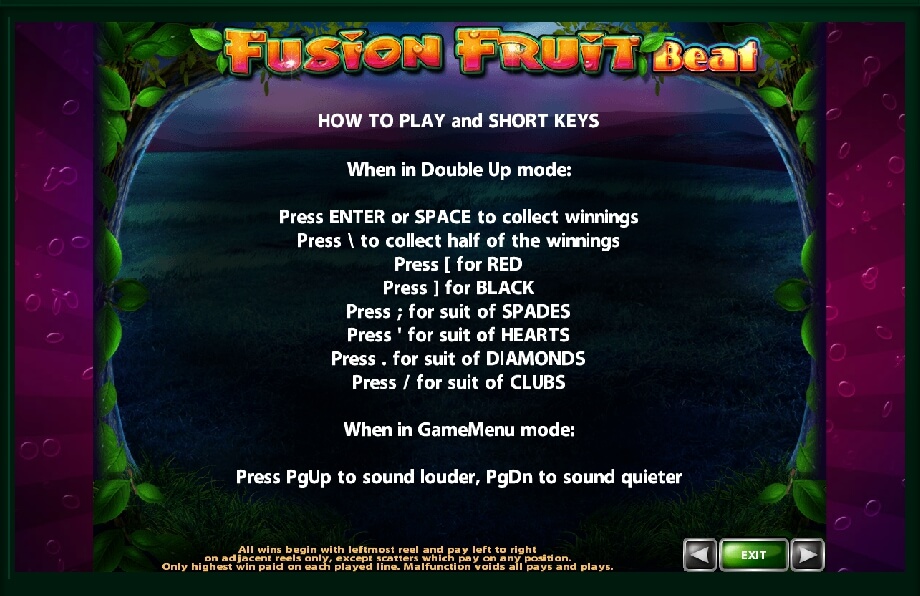 fusion fruit beat slot machine detail image 1