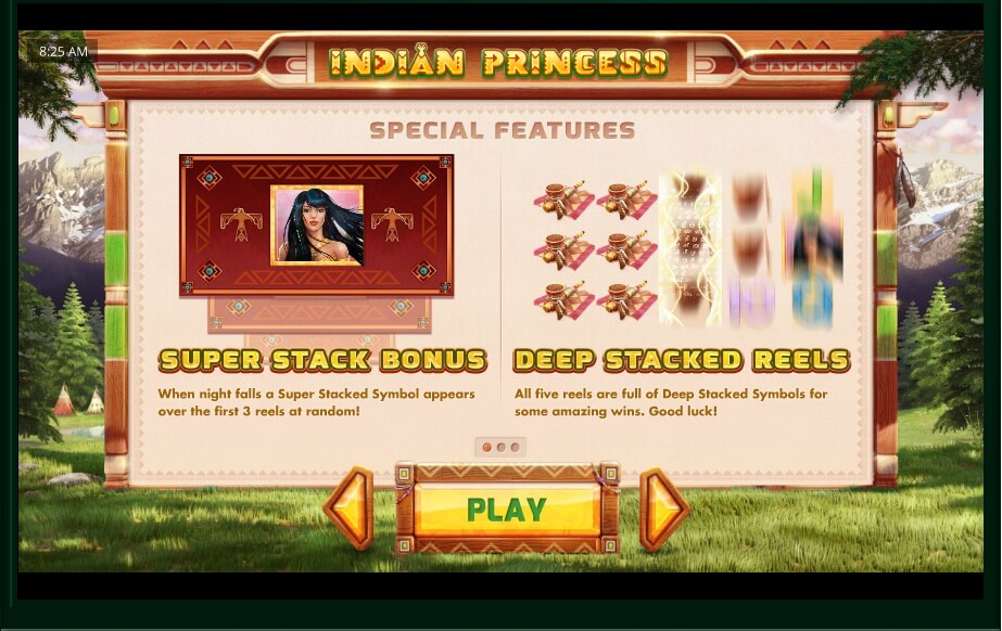 indian princess slot machine detail image 2