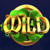wild: wild symbol - charms and clovers