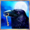 raven with a key in its beak - charms and witches