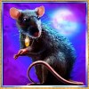 rat - charms and witches