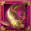 the golden carp - chunjie