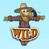 wild symbol - crazy farm race