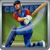 batcher in blue uniform - cricket star