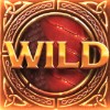 fiery wild: wild symbol - double dragons