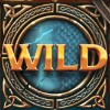 icy wild: wild symbol - double dragons