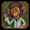 a monkey is an assistant - dr. watts up
