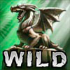wild symbol - dragon island
