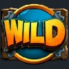 wild: wild symbol - dragonz