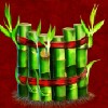 bamboo - fei long zai tian
