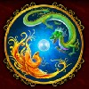 dragon and firebird: a scatter symbol - fei long zai tian