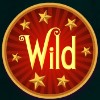 wild symbol - fisticuffs
