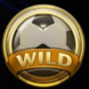 soccer ball: wild symbol - football: champions cup