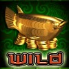 gold fish: wild symbol - fortune fish