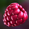 raspberries - fruit zen