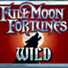 wild symbol - full moon fortunes