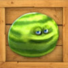 watermelon - funky fruits farm