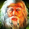 elder - gaelic warrior