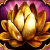 lotus: wild symbol - golden flower of life