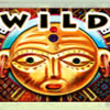 wild symbol - gorilla