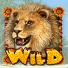 wild symbol - happy jungle