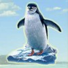penguin - happy jungle