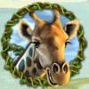 giraffe - happy jungle
