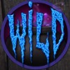 wild: wild symbol - haunted night