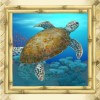 turtle - hawaiian treasure