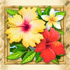 flowers - hawaiian treasure