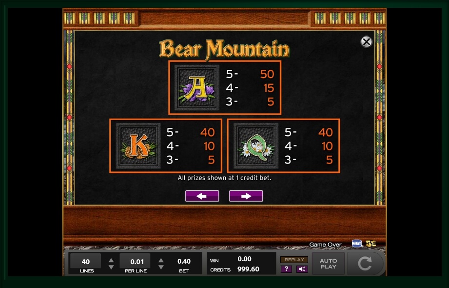 bear mountain slot machine detail image 14