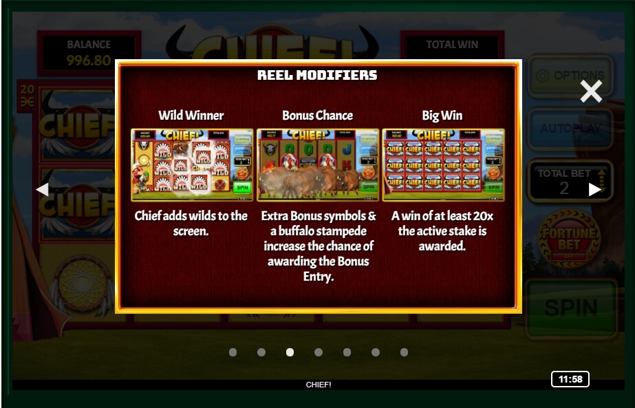 chief! slot machine detail image 4