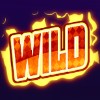 wild: wild symbol - joker pro