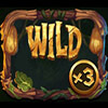 wild: wild symbol - jungle books